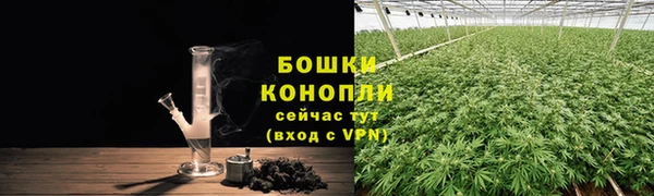 хмурый Каменка