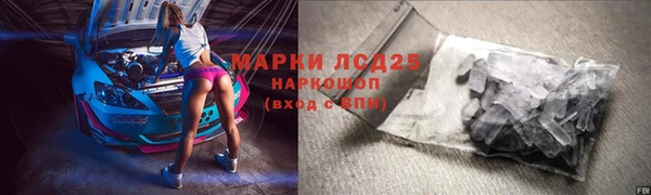 хмурый Каменка