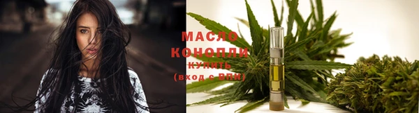 хмурый Каменка