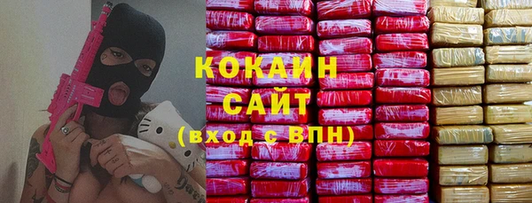 хмурый Каменка