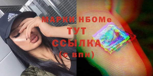 хмурый Каменка