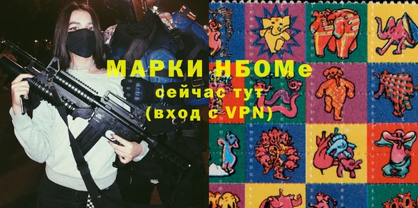 хмурый Каменка