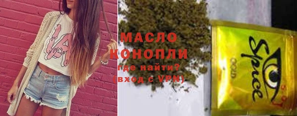 хмурый Каменка